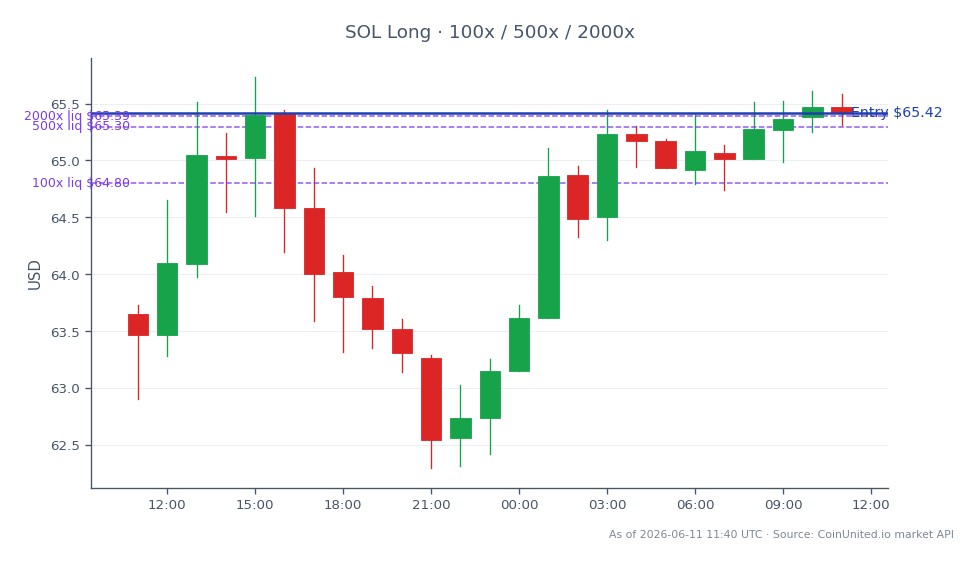 图表展示了Solana (SOL) 在过去24小时内加密货币市场的表现。开盘价为63.65美元，收盘价为65.42美元，上涨了2.78%。价格在一定区间内波动，最高达到65.73美元，最低为62.30美元。对于考虑杠杆的交易者，多头头寸在65.42美元建立，杠杆倍数分别为100倍、500倍和2000倍。这表明了一种利用上涨趋势的战略方法，尽管交易者应警惕高杠杆可能带来的清算风险。总体而言，在近期日本的监管发展背景下，Solana呈现积极趋势，这可能为加密货币市场带来顺风。