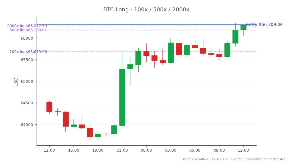 The chart illustrates Bitcoin's recent price movement over a 24-hour period, showing an opening price of $64,517 and a closing price of $66,309, which indicates a price increase of 2.78%. During this period, Bitcoin reached a high of $66,346 and a low of $63,651. The leverage strategy outlined indicates a long position entry price at $66,309, with leverage tiers set at 100x, 500x, and 2000x. This strategy adds approximately 1,587 BTC to the market for a total investment of around $100 million. The chart serves as a crucial reference for leveraged traders, particularly in assessing the relative value of MicroStrategy (MSTR) against Bitcoin's performance, as MSTR continues to be a significant player in the crypto investment space.