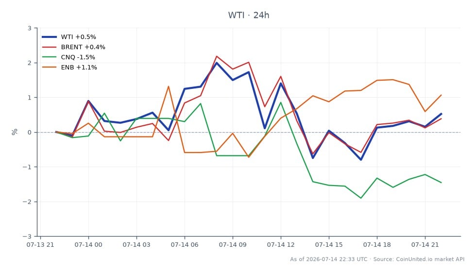 The chart illustrates the performance of WTI Light Crude Oil over a 24-hour period, showing an opening price of $77.64 and a closing price of $79.255. The price reached a high of $80.615 and a low of $77.375, resulting in a percentage change of 2.08%. In comparison, Brent Crude Oil experienced a 1.66% increase, while Canadian Natural Resources Limited (CNQ) saw a decline of 1.25%. Enbridge Inc. (ENB) outperformed with a 2.13% gain. The data indicates that WTI is the leader in this cross-market comparison, with significant upward movement compared to its related assets.