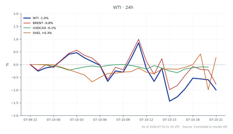 图表展示了 WTI 轻质原油的近期表现，开盘价为 71.825 美元，收盘价为 71.295 美元，在过去 24 小时内下跌了 0.74%。价格在一定区间内波动，最高触及 72.945 美元，最低为 70.795 美元。相比之下，布伦特原油下跌幅度较小，为 0.57%，而 USDCAD 货币对变动极小，为 -0.11%。值得注意的是，SHEL 股票表现突出，上涨了 1.03%。这项跨市场分析强调 WTI 为主要焦点，在地缘政治紧张局势持续的霍尔木兹海峡和哈萨克斯坦潜在的燃油出口禁令背景下，WTI 小幅下跌。交易者在对 WTI 差价合约、柴油和石油外汇进行杠杆操作时，应考虑这些动态因素。