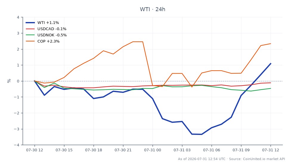 图表展示了WTI轻质原油的近期表现，开盘价为83.63美元，收盘价为85.405美元，在过去24小时内上涨了2.12%。在此期间，价格在81.215美元的低点和85.58美元的高点之间波动。在相关市场中，USDCAD货币对小幅下跌0.03%，而USDNOK则显著下跌0.35%。相反，COP（哥伦比亚比索）升值了2.06%。数据显示，在相关资产中，WTI是表现最突出的，反映出能源行业强劲的看涨趋势，这可能会影响能源差价合约和相关外汇交易的杠杆交易策略。