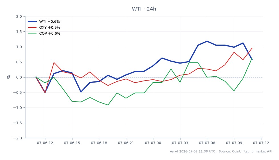 The chart illustrates the performance of WTI Light Crude Oil over a 24-hour period, showing an opening price of $68.615 and a closing price of $69.07. The highest price reached during this time was $69.765, while the lowest was $68.12, resulting in a percentage change of 0.66%. In comparison, related stocks show Occidental Petroleum (OXY) with a 1.36% increase and ConocoPhillips (COP) with a 0.82% increase, indicating that OXY is the leader among the related stocks. The data reflects the ongoing dynamics in the commodities market, particularly in relation to crude oil prices and their impact on associated equities.