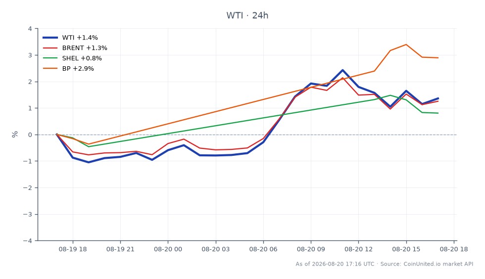 图表显示了 WTI 轻质原油在过去 24 小时的表现，开盘价为 85.555 美元，收盘价为 86.285 美元。价格最高触及 87.635 美元，最低为 83.935 美元，涨幅为 0.85%。相比之下，布伦特原油上涨了 0.83%，而壳牌 (SHEL) 上涨了 0.54%，英国石油 (BP) 则表现强劲，上涨了 2.38%。这表明 BP 是相关股票中的明显领导者，而 SHEL 在百分比涨幅方面则落后。数据显示了当前大宗商品市场的动态，尤其是在原油交易方面。