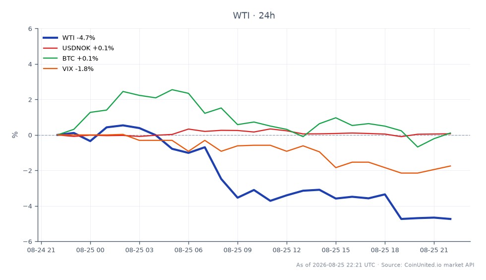 圖表顯示西德州輕原油 (WTI) 過去 24 小時的表現，開盤價為 85.01 美元，收盤價為 81.075 美元。期間最高價為 85.825 美元，最低價為 80.215 美元，跌幅為 -4.63%。相關市場方面，美元兌挪威克朗 (USDNOK) 小幅上漲 0.1%，而比特幣 (BTC) 小幅下跌 -0.19%。衡量市場波動性的 VIX 指數下跌 -1.39%。在此跨市場分析中，WTI 明顯落後，與相對穩定的相關資產走勢相比，跌幅顯著。