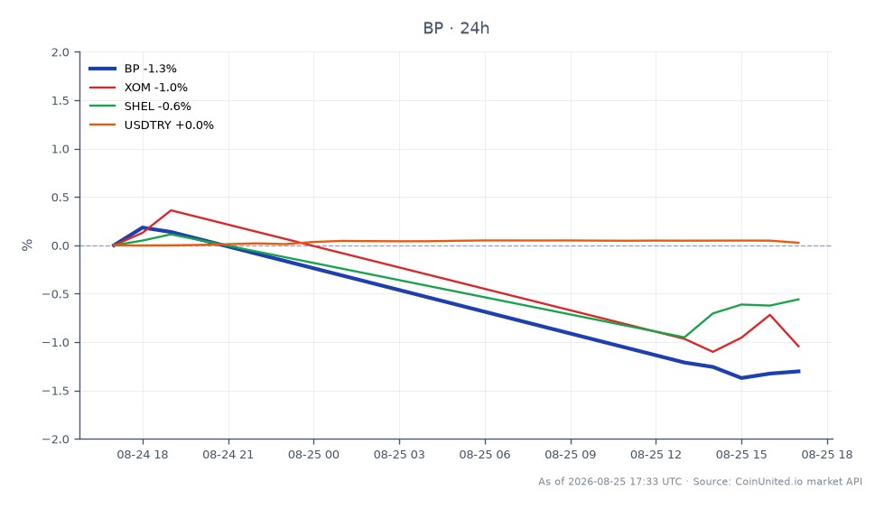 BP p.l.c. (シンボル: BP) の過去24時間のパフォーマンスを示すチャート。始値43.695ドル、終値43.165ドルで、変化率は-1.21%。この期間中に高値43.865ドル、安値42.985ドルを記録し、合計8本のローソク足が表示されています。比較として、エクソンモービル(XOM)は-0.65%、シェル(SHEL)は-0.45%下落しました。USD/TRY通貨ペアは0.03%上昇しました。BPのパフォーマンスは、特に同業他社に見られるマイナストレンドを考慮すると、エネルギーセクターで遅れをとっていることを示しています。