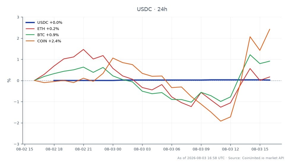 圖表顯示了USDC在過去24小時內的表現，開盤價為1.0003，收盤價為1.0005，最高價為1.0006，最低價為1.0003。這代表價值略有上漲0.02%。相比之下，相關資產表現各異：以太坊(ETH)上漲0.41%，比特幣(BTC)上漲1.04%，而Coinbase(COIN)則顯著上漲2.61%。其中，COIN在百分比變動方面表現最佳，而USDC保持穩定，反映了其作為穩定幣在市場上的作用。這些數據對於評估抵押品相對於波動性資產穩定性的槓桿交易者至關重要。