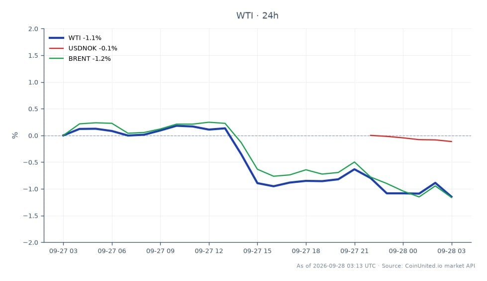 该图表展示了WTI轻质原油的近期表现，开盘价为94.275美元，收盘价为93.195美元，在过去24小时内下跌了1.15%。在此期间，价格在94.515美元的高点和92.67美元的低点之间波动。此外，布伦特原油价格也出现类似下跌，24小时变化为-1.2%。在货币市场，美元/挪威克朗对小幅下跌-0.07%。数据显示，受柴油出口禁令等外部因素影响，WTI目前在价格稳定性方面落后于布伦特原油。这些大宗商品的杠杆图表明，鉴于近期波动性，交易者应谨慎行事。