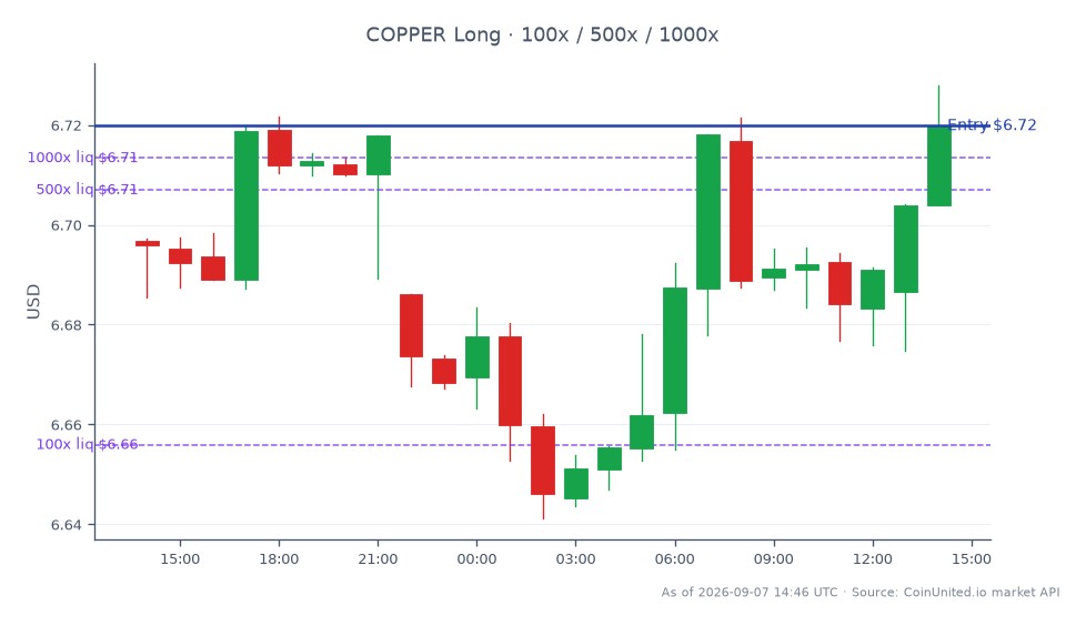 The chart illustrates the performance of Copper in the commodities market over the last 24 hours. Copper opened at $6.69685 and closed at $6.7198, reflecting a price increase of $0.02395. The highest price reached during this period was $6.72795, while the lowest was $6.64125, resulting in a percentage change of 0.34%. For leveraged trading, a long position was entered at the closing price of $6.7198, with tiered investments of $100, $500, and $1000. This indicates a bullish sentiment towards Copper, as it shows resilience with a slight upward movement despite market fluctuations.