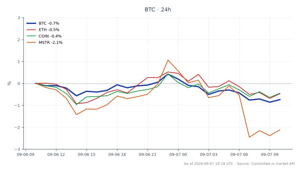 比特币 (BTC) 近期在加密货币市场的表现图表，显示开盘价为 79,852 美元，收盘价为 79,371 美元，在过去 24 小时内下跌了 0.6%。在此期间，价格在 80,529 美元的高点和 78,956 美元的低点之间波动。相关资产也出现下跌，以太坊 (ETH) 下跌 0.38%，Coinbase (COIN) 下跌 0.31%，MicroStrategy (MSTR) 下跌 1.81%。这些数据表明市场普遍呈看跌趋势，比特币在主要资产中领跌，而 MicroStrategy 在相关资产中跌幅最大。随着比特币接近关键支撑位，杠杆多头面临的清算压力正在积聚。