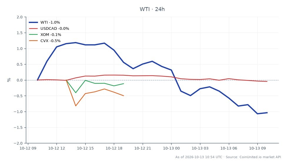 图表展示了WTI轻质原油在过去24小时的表现，开盘价为92.045美元，收盘价为91.105美元，下跌1.02%。期间最高价触及93.55美元，最低价为90.99美元，显示市场波动性。在此背景下，加元（USDCAD）小幅下跌0.05%，而埃克森美孚（XOM）等能源股小幅上涨0.45%。相反，雪佛龙（CVX）下跌0.12%，表现落后于XOM。这些数据深入分析了商品和能源股之间相互关联的走势，突显了市场情绪对这些资产的影响。