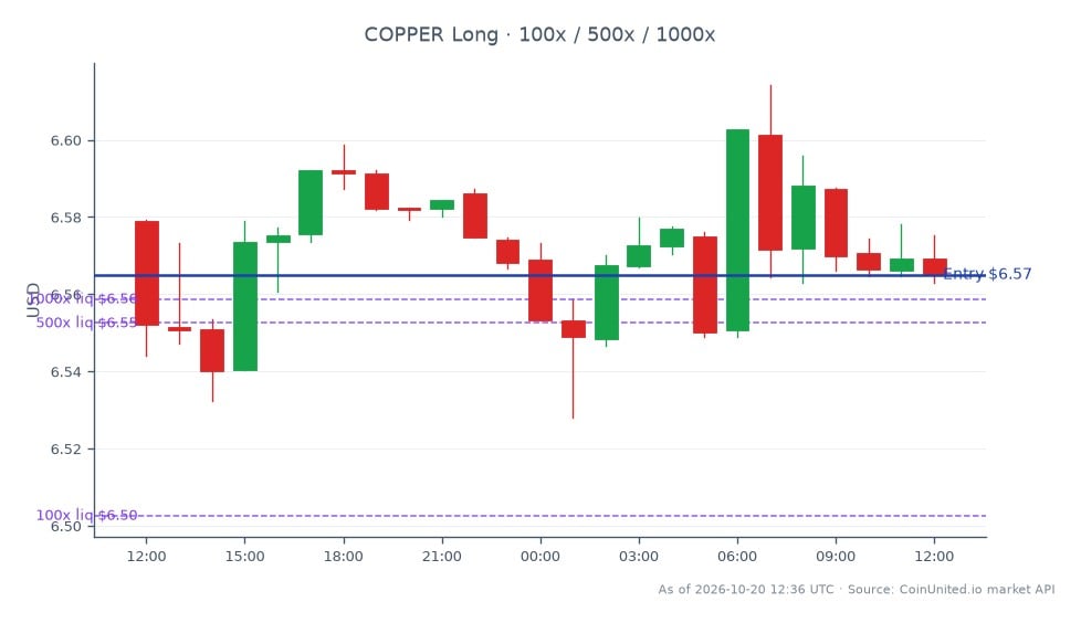 The chart illustrates the recent performance of Copper in the commodities market. Copper opened at $6.579 and closed slightly lower at $6.565, reflecting a decrease of 0.21% over the last 24 hours. The highest price reached during this period was $6.61425, while the lowest was $6.52805. For leveraged trading, a long position was entered at $6.565, with tiered investments of $100, $500, and $1000. This data indicates a slight bearish trend in Copper prices, which may influence trading strategies.
