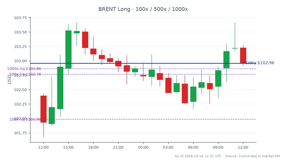The chart displays the performance of Brent Crude Oil over a 24-hour period. The market opened at $102.395 and closed at $102.96, marking a price increase of $0.565. The highest price reached was $103.665, while the lowest was $101.685, resulting in a percentage change of 0.55% over the last 24 hours. In the context of leveraged trading, a long position was initiated at an entry price of $102.96, with tiered leverage levels set at $100, $500, and $1000. This indicates a strategic approach to capitalizing on the upward movement of Brent Crude Oil prices. No clear leader or laggard was noted in this specific market context.
