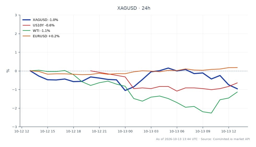 图表展示了白银（XAG/USD）在过去24小时内兑美元的表现。白银开盘价为60.5245美元，最高触及60.7385美元，最低为59.5735美元，收盘价为59.9635美元，下跌0.93%。图表还包括相关市场：美国10年期国债收益率（US10Y）下跌0.65%，西德克萨斯中质原油（WTI）下跌1.02%。欧元/美元汇率小幅上涨0.17%。总体趋势表明，尽管白银在60美元附近削减了跌幅，但油价的回落可能会影响市场情绪，交易员们正在等待即将公布的消费者价格指数（CPI）数据，该数据可能会影响白银的杠杆头寸。
