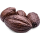 COCOA